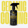 Ceramic Coating Polish