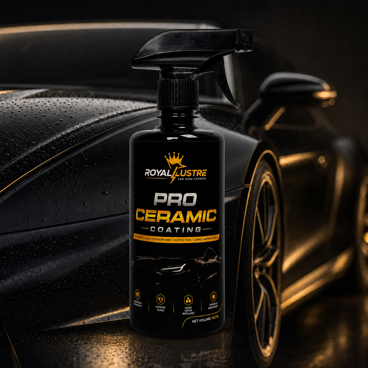 Ceramic Coating Polish